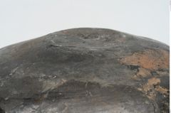 Foto von Kragenrandgefäß (NHMW-PRAE-002283)